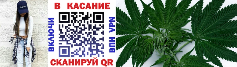  КОКАИН Балтийск