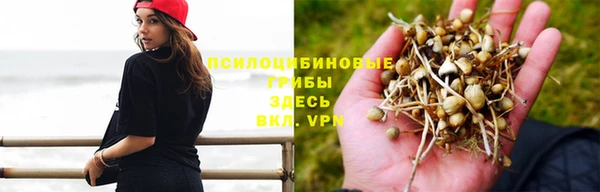 марки lsd Арсеньев