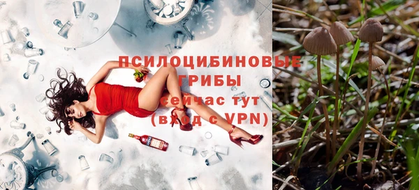 не бодяженный Аркадак