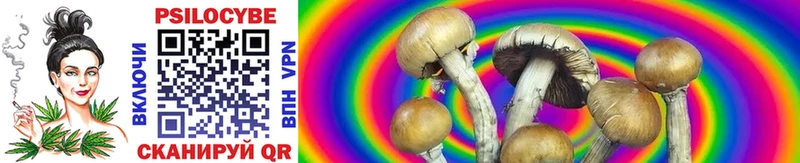 Галлюциногенные грибы Psilocybe  гидра как войти  Балтийск 